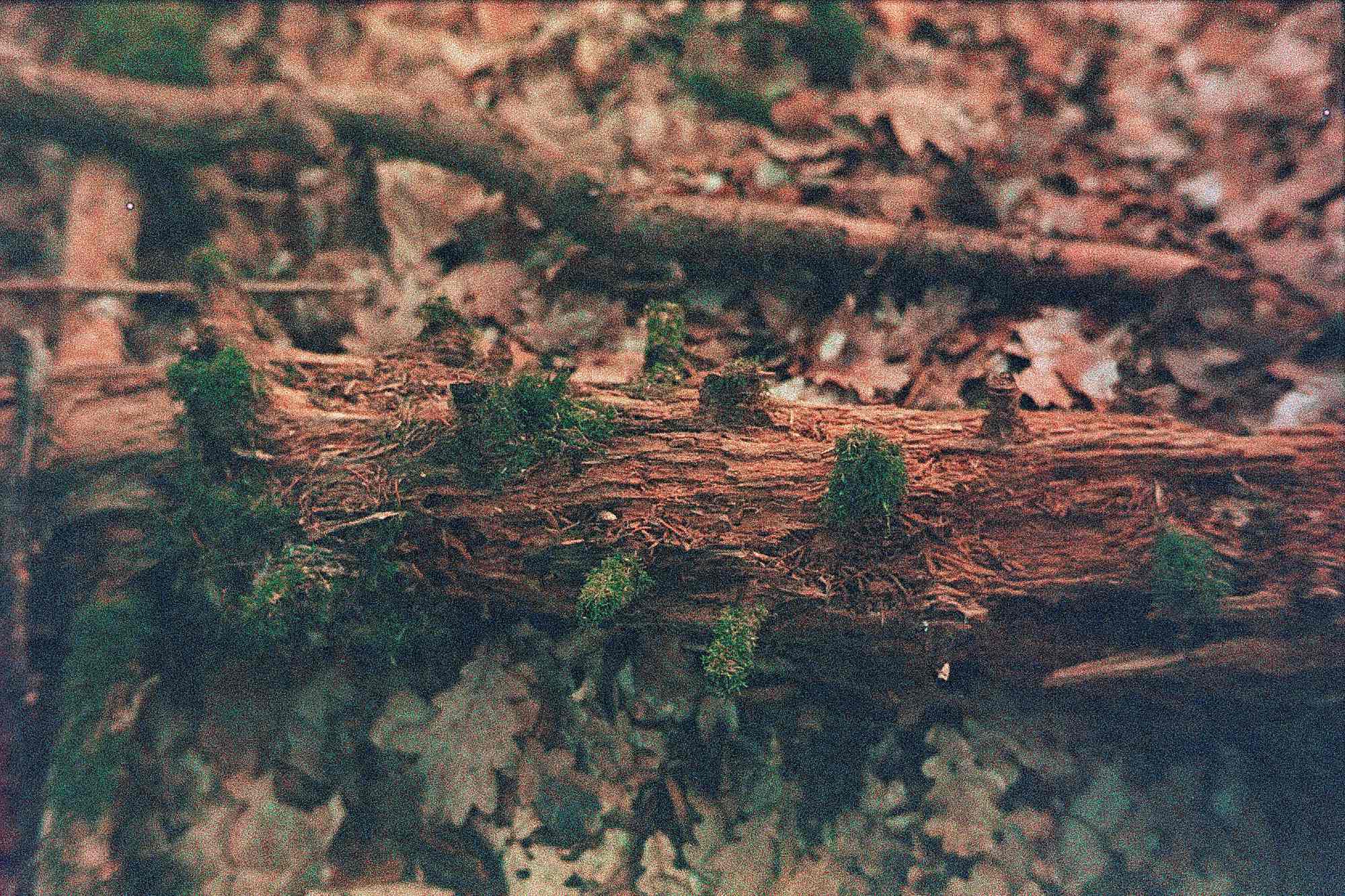 Vkl 2019 02 20 Leica CL 7Artisans Precisa cross (15)